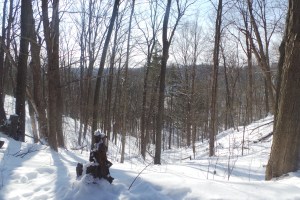 Noonan  woods Feb 15