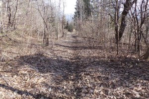 Danforth 20150427_180541 (9)_s