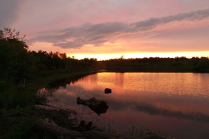 Sunset in Beare Wetlands