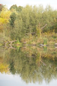 N3colours20151007_095520_s