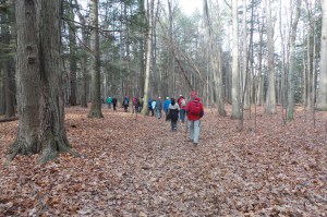 Noon 1 20151118_095138Mast (1)_s