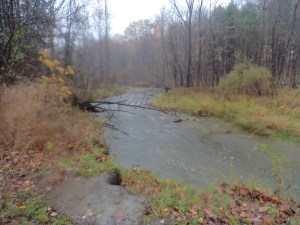 Lots of Water Everywhere