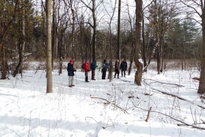 Neither rain, nor sleet nor snow...