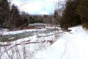 It's a beautiful day in the neighbourhood...