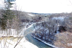 ...a winter wonderland