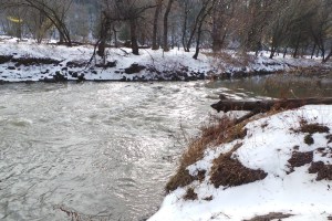 _NN4_____river scene 220151230_110100_s-1