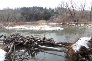 NN6______river scene20151230_103501_s-2