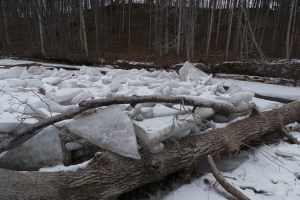 Ice jam 1___R dam w ice 20160128_110434 (6)_s