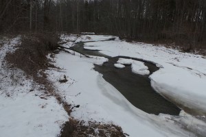 ice jam 6__Rivfer ice 20160128_105921_