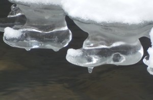 _Ice on Lt Rouge River 3