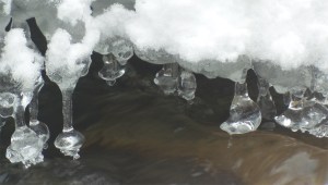 _Ice on Lt Rouge River 4