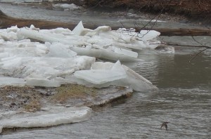_Little Rouge River ice jam_s