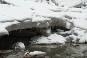 ln5 20160224_104331_sJN