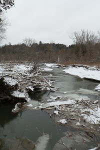 ln6 20160224_104430_sJN