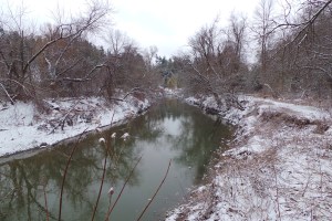 ___river 7 20160406_115824_s