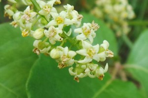 20160608_113757-1-1_s