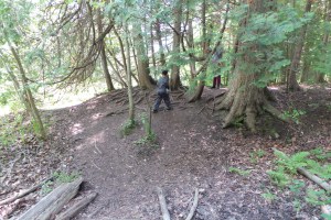 _flower hike Rouge 20160529_093937 (76)