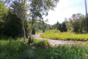 River views 20160706_100459 (3)_s