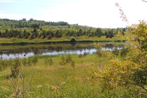 wetland pond 20160706_102226_s