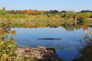 20161012_094410_med1