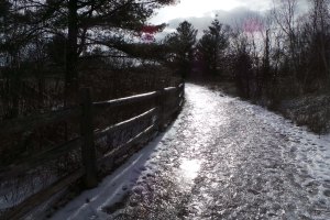 Icy Trail