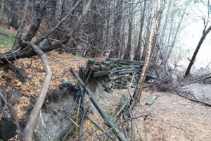 road-to-caper-valley-top__-20170301_104405-1